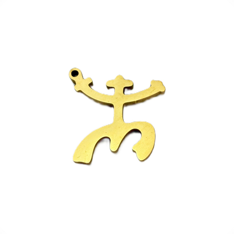 Stainless Steel Taíno Coquí Charm
