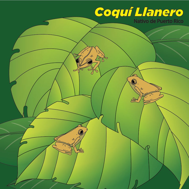 Coloring Set Canvas with Acrylic Paint Set and Brush- Coqui Llanero