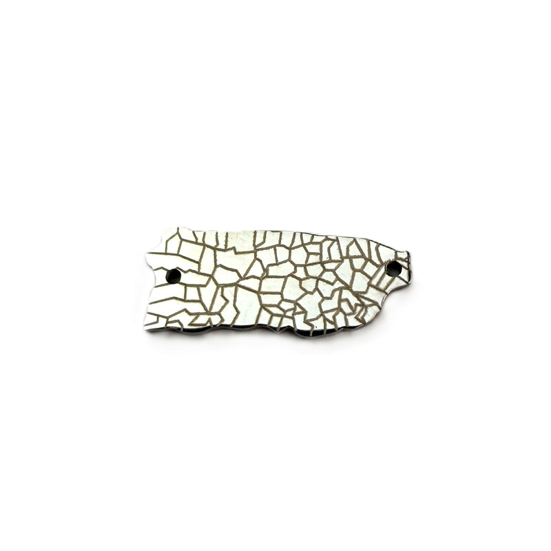 Stainless Steel Puerto Rico map connector