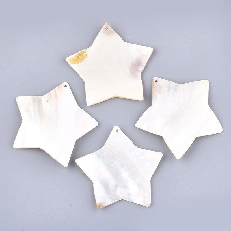 Freshwater Big Shell Star Charm