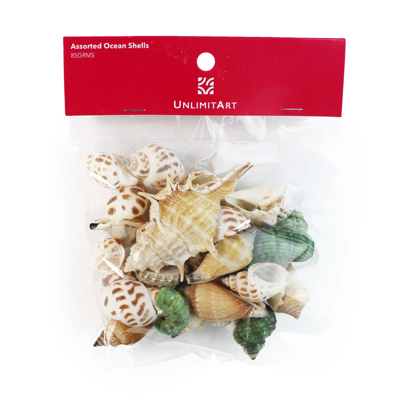 Ocean Shell Assorted Shapes (85 grms)