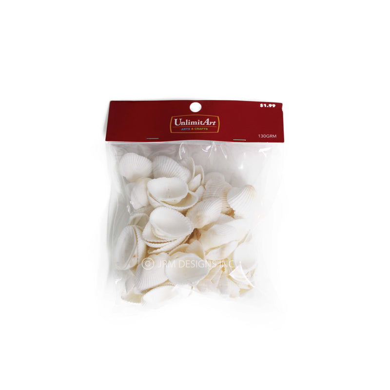 White Shells Assorted Size
