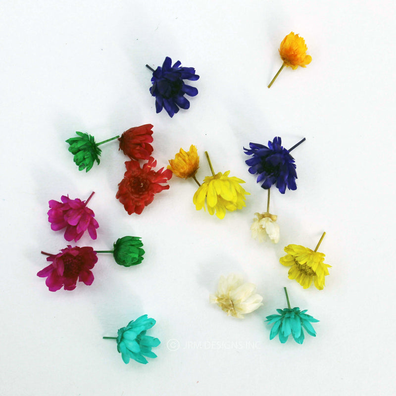 Real Dry Flower Assorted (16 PCS)