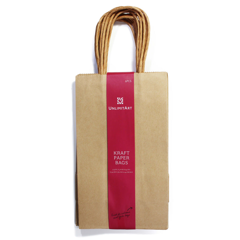 Medium Paper Gift Bags (6 PCS)