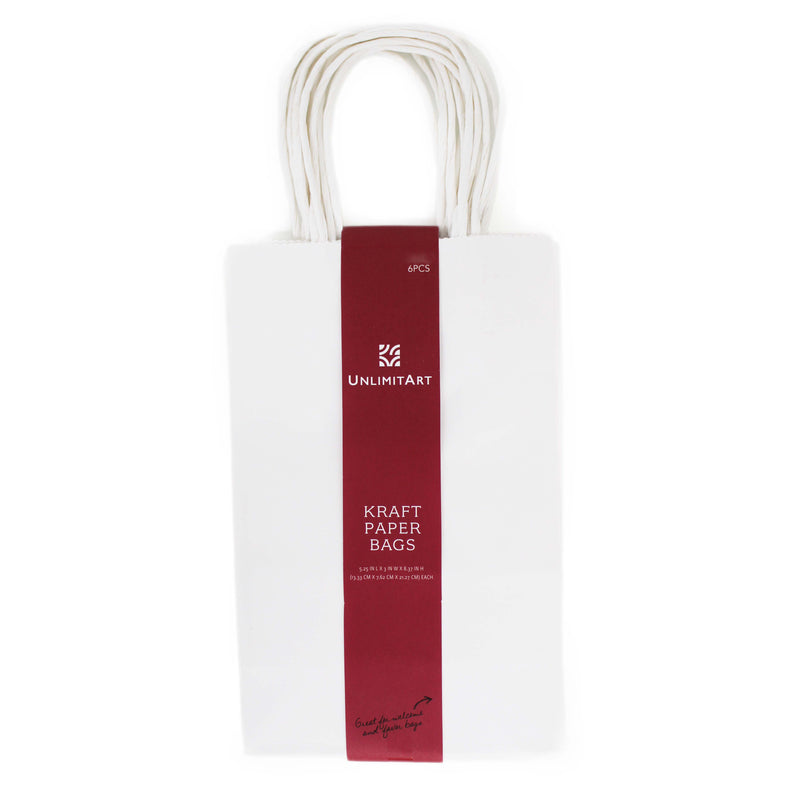 Medium Paper Gift Bags (6 PCS)