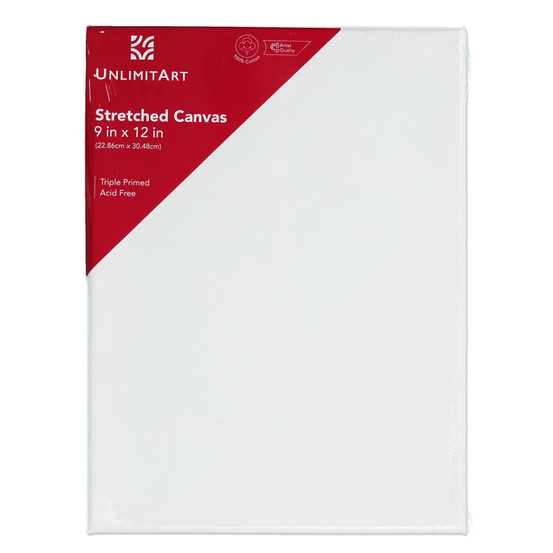 Stretched Canvas 9"x12" (2 pack)