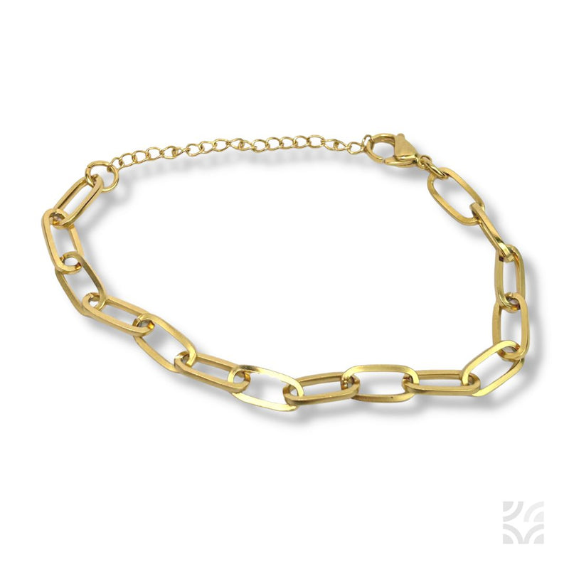 Stainles Steel Chain Bracelet with extensor